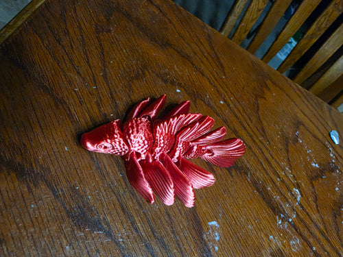 Betta Fish