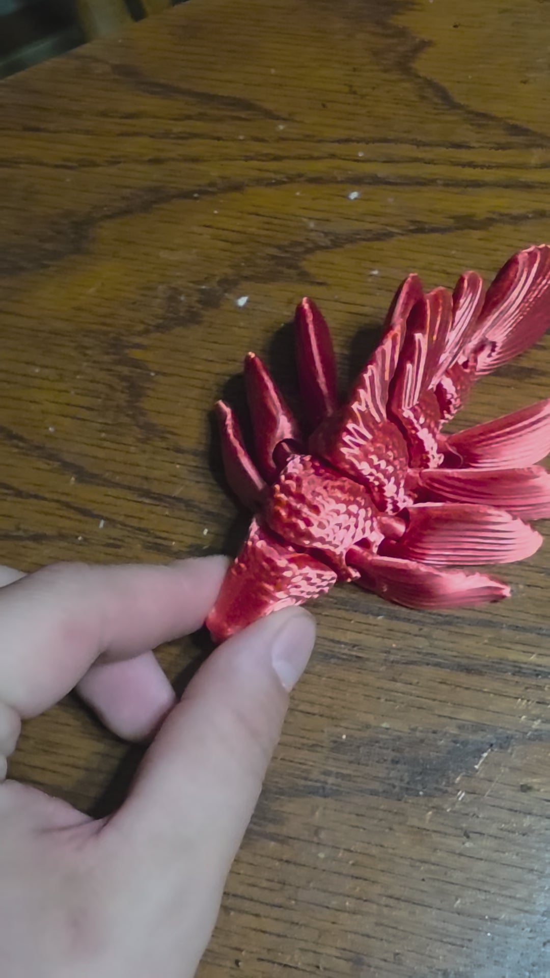 Betta Fish